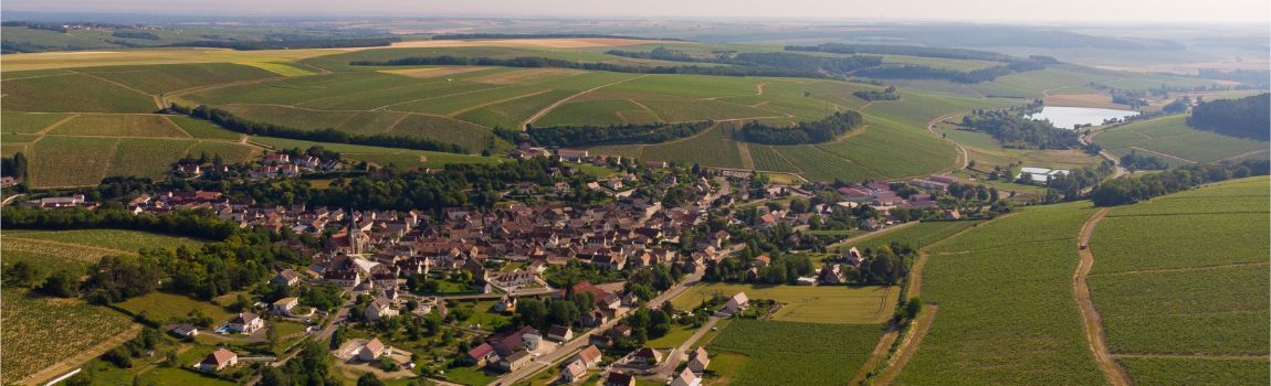 Domaine Michaut Frères - Vinoso.Shop